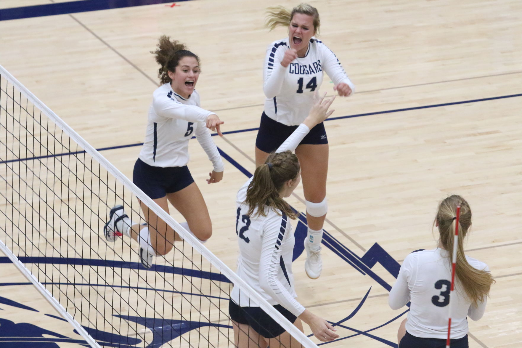 Volleyball (6).JPG